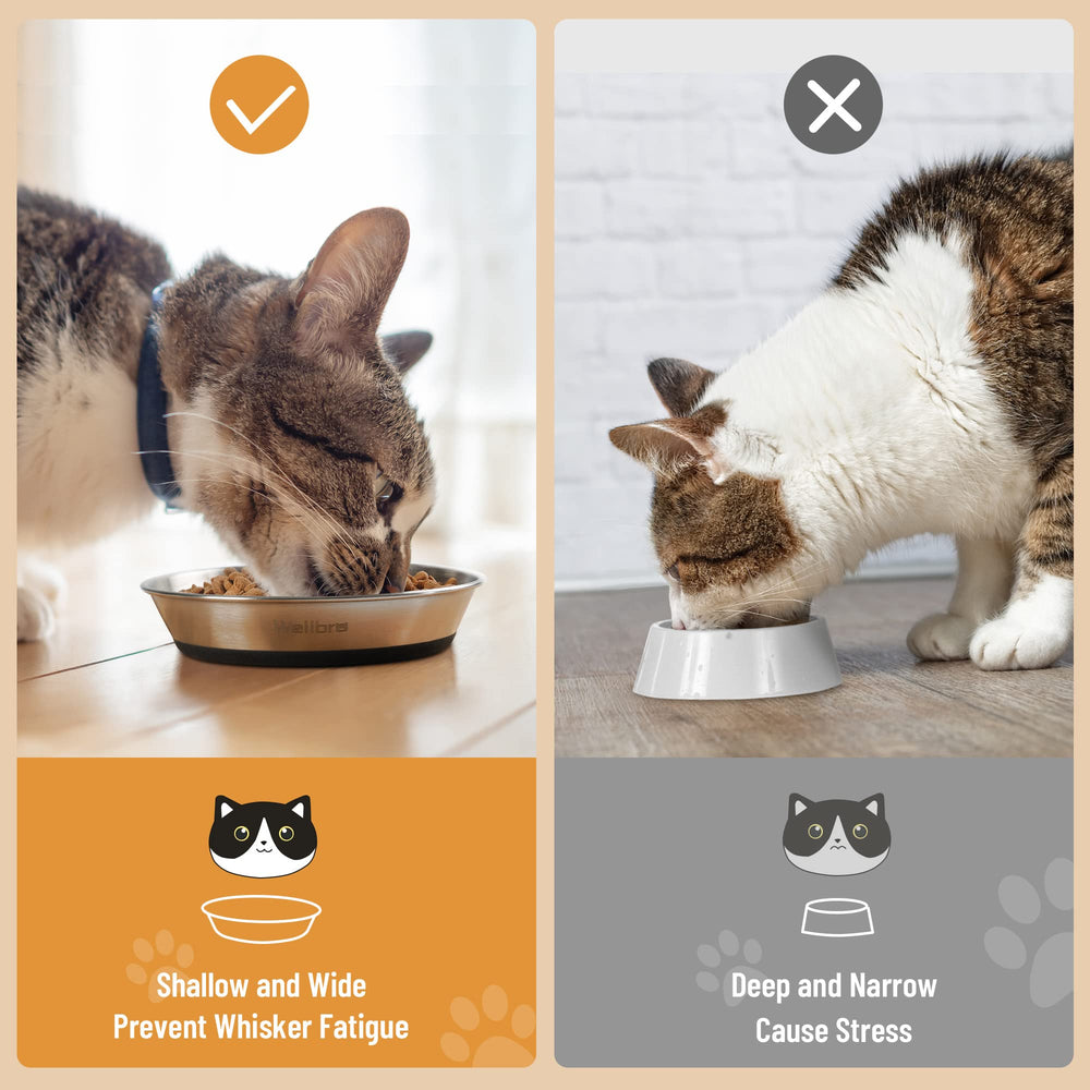 Wellbro bol-chat-inox, confortable pour les moustaches et facile à nettoyer.