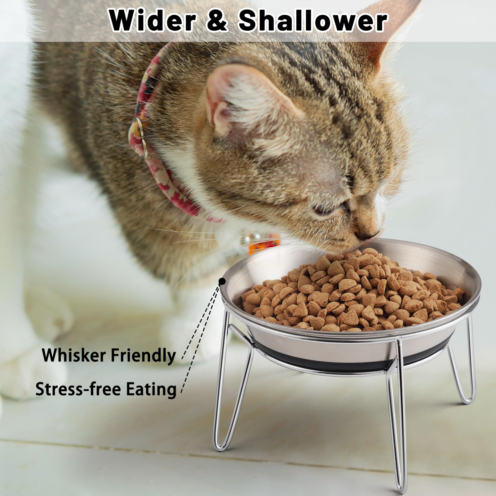 Wellbro bols inox SUS304 de qualité, durable et hygiénique pour chats.