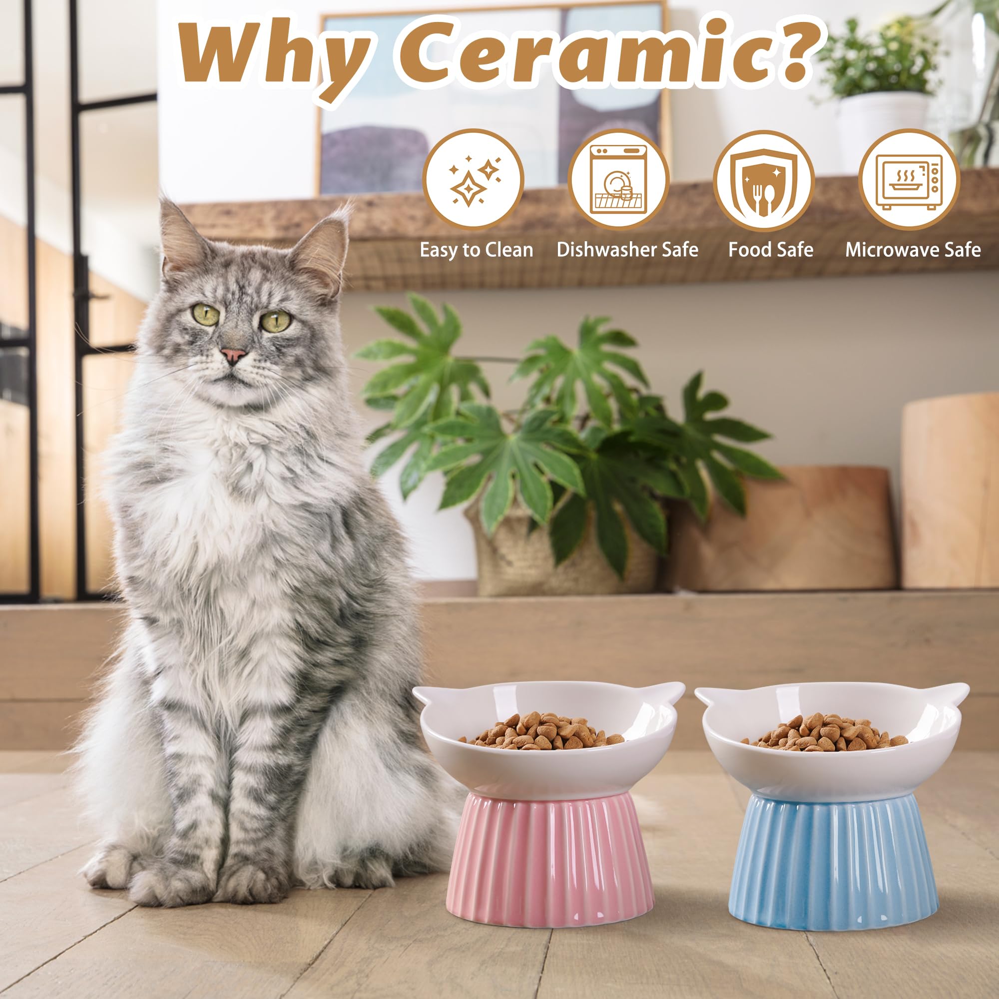 Wellbro céramique saine et durable – matériau sûr et sans odeur pour votre animal.