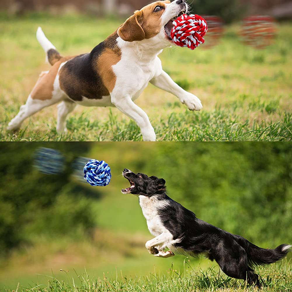 Wellbro: diamètre environ 6 cm, adapté pour petits animaux et chiens de petite taille.