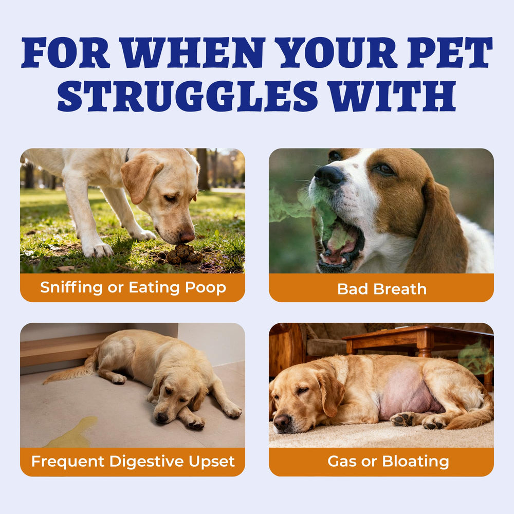 Wellix 550 Bites probiotiques et enzymes pour digestion canine.