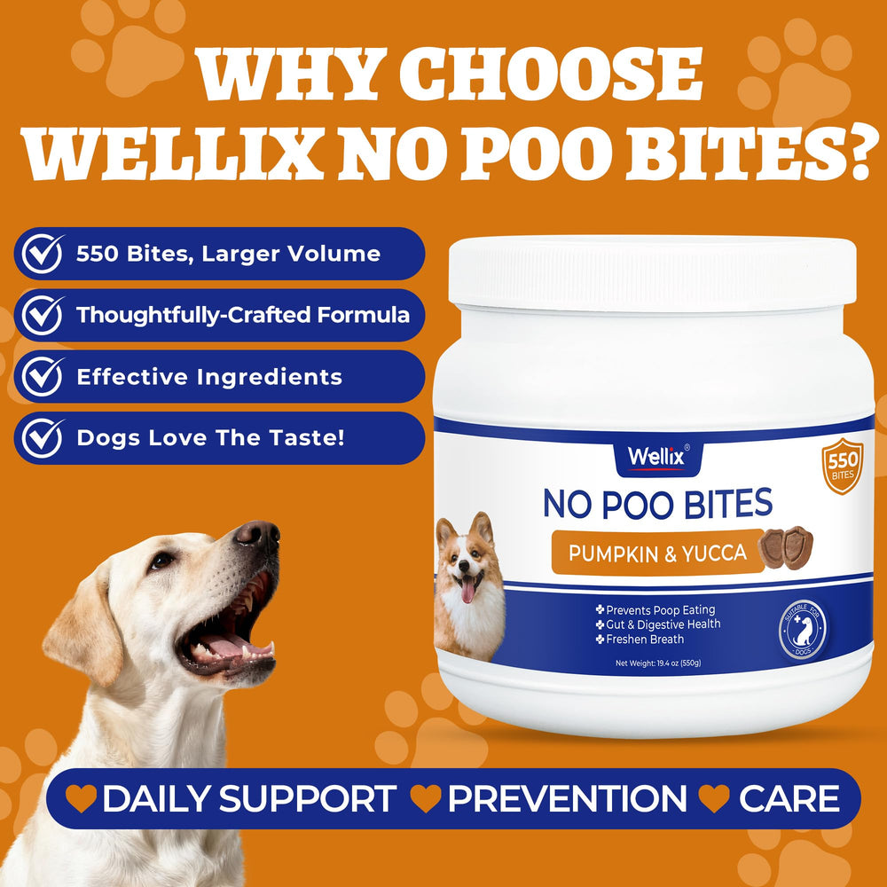 Wellix 550 Bites peut soutenir le système immunitaire et l'haleine.