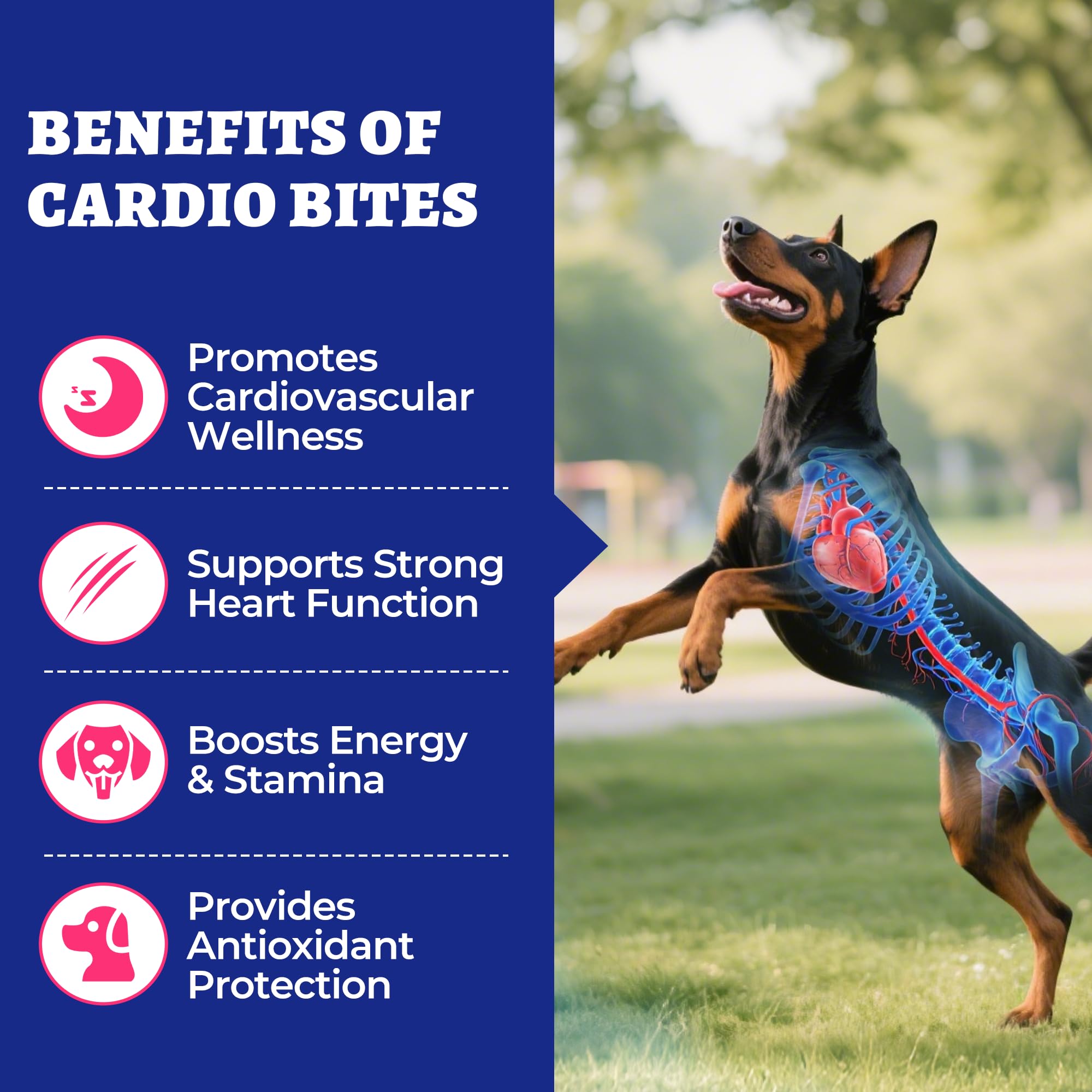 Bien présentées, les bouchées Wellix Cardio Bites dans leur sachet pratique.