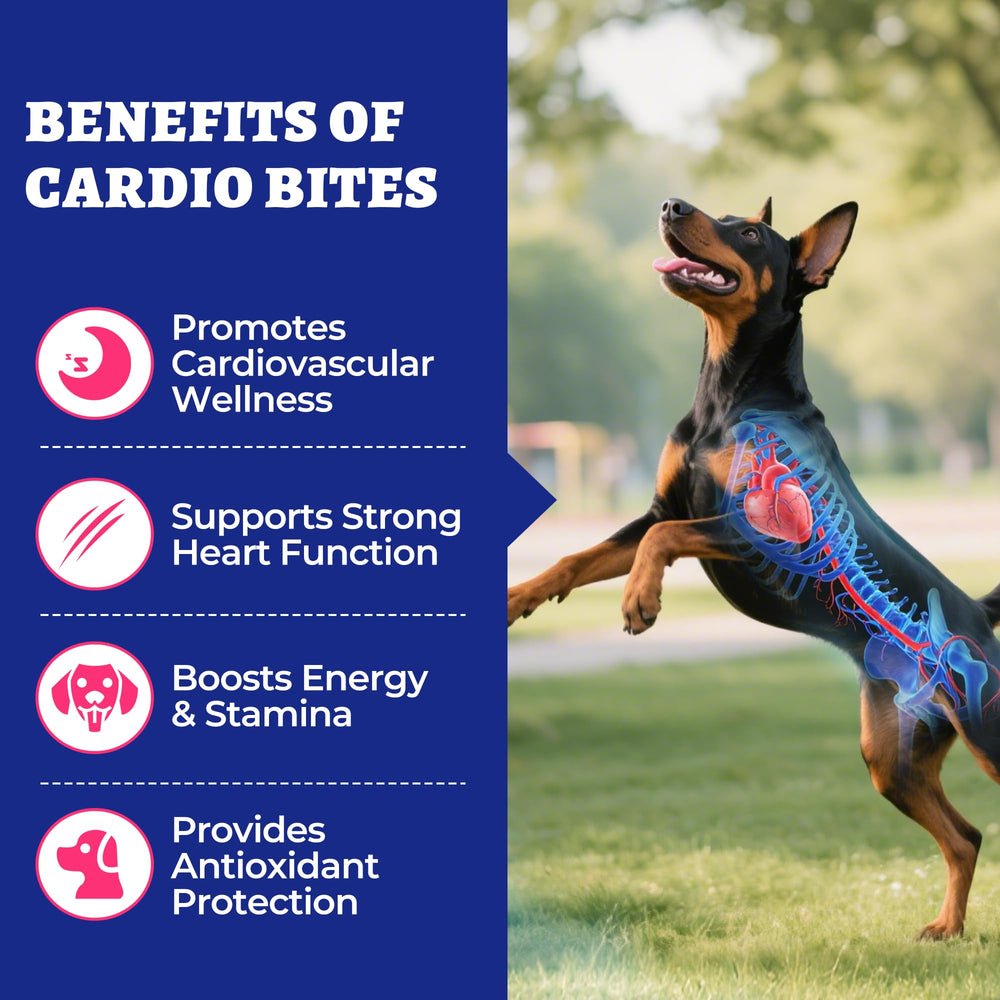 Bien présentées, les bouchées Wellix Cardio Bites dans leur sachet pratique.