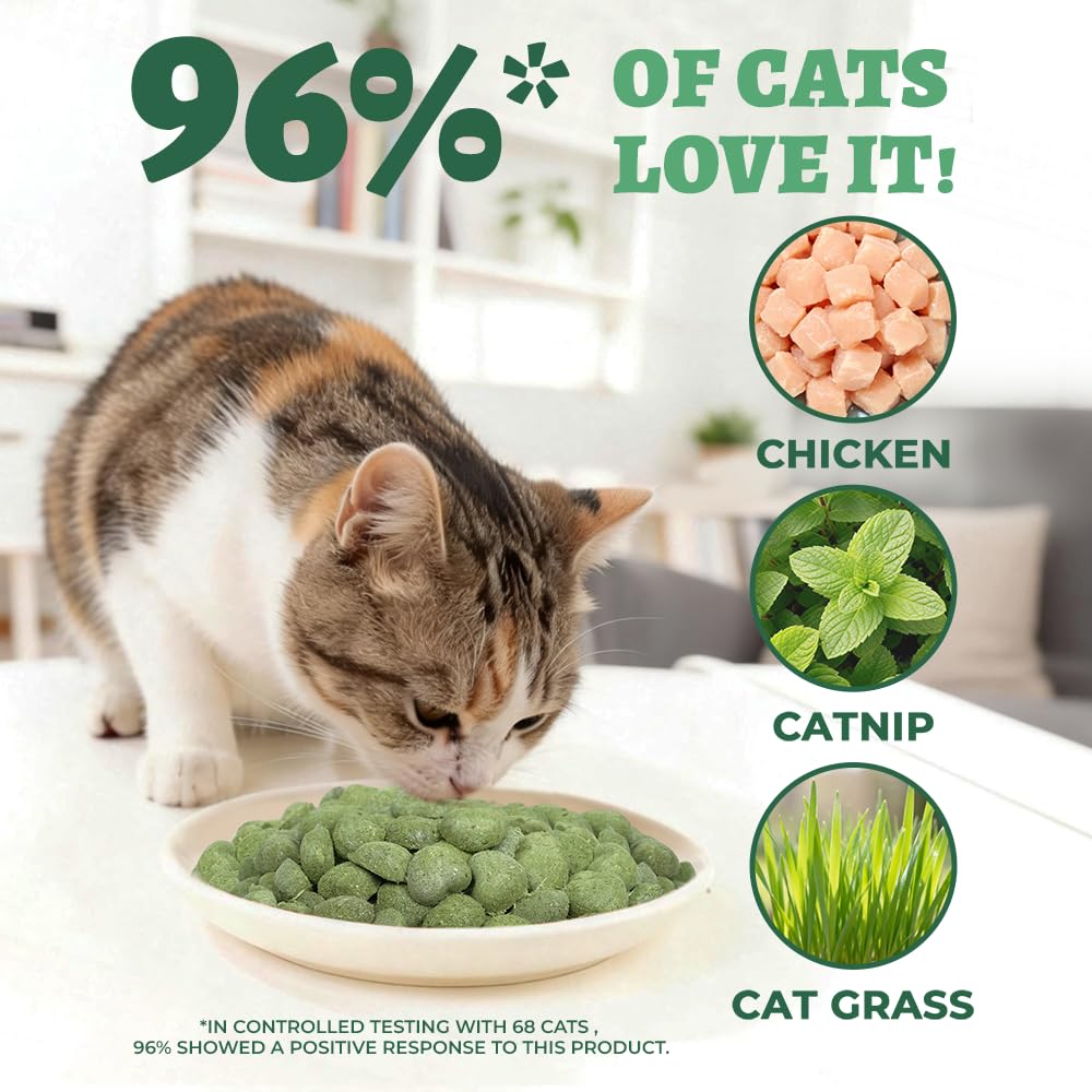 Chat dégustant Wellix Catnip Treats en forme de cœur pendant l’entraînement