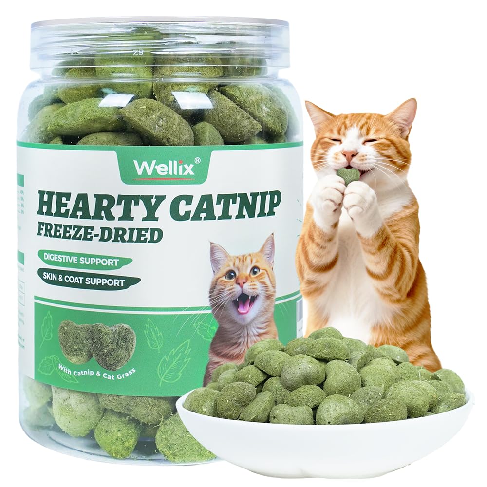 Wellix Catnip Treats dans son paquet, snack savoureux pour récompenser votre chat