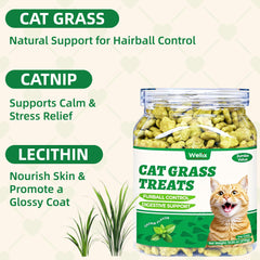 Wellix chat dégustant friandises herbe-chat et saumon, soutien digestion