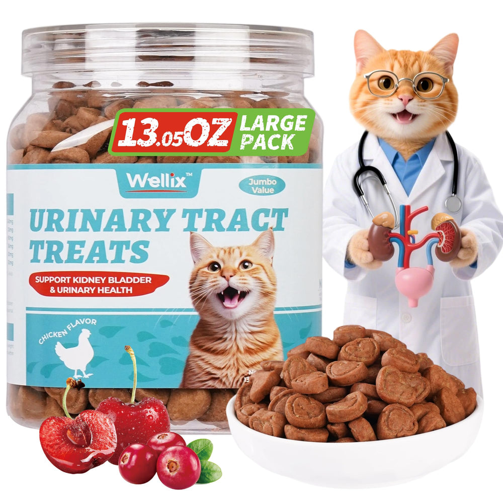 Wellix croquettes sante tractus urinaire pour chat intérieur, soutien quotidien.