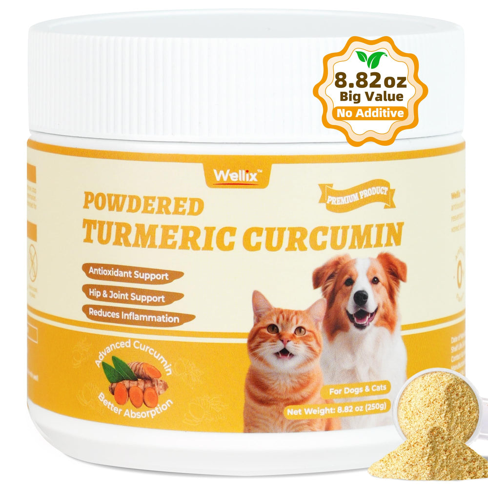 Wellix Curcuma — poudre prête à mélanger, absorption optimisée dans l'alimentation.