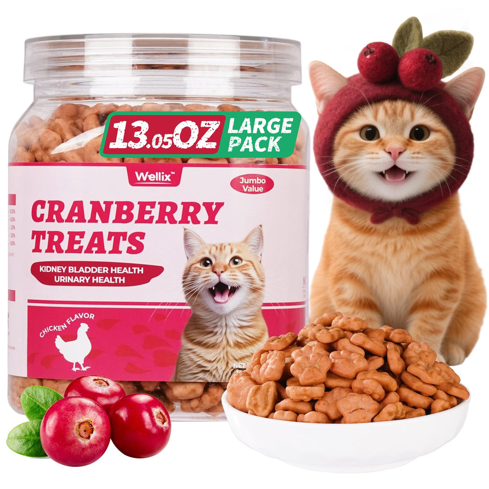 Wellix friandises chat – bouteille, soutien potentiel des voies urinaires