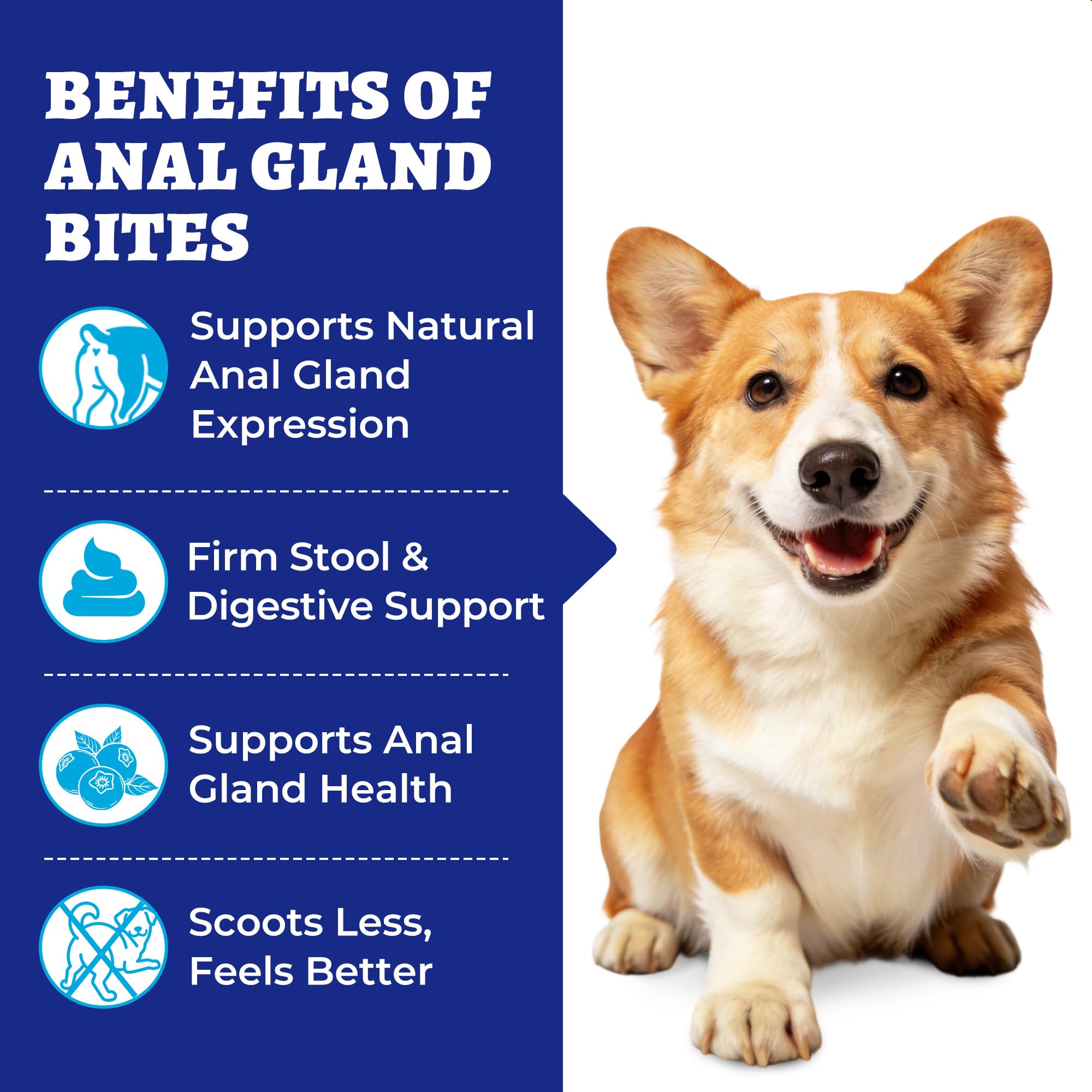 Wellix friandises-glandes-anales en boite 260 bouchées pour chien.