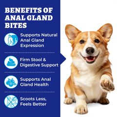 Wellix friandises-glandes-anales en boite 260 bouchées pour chien.