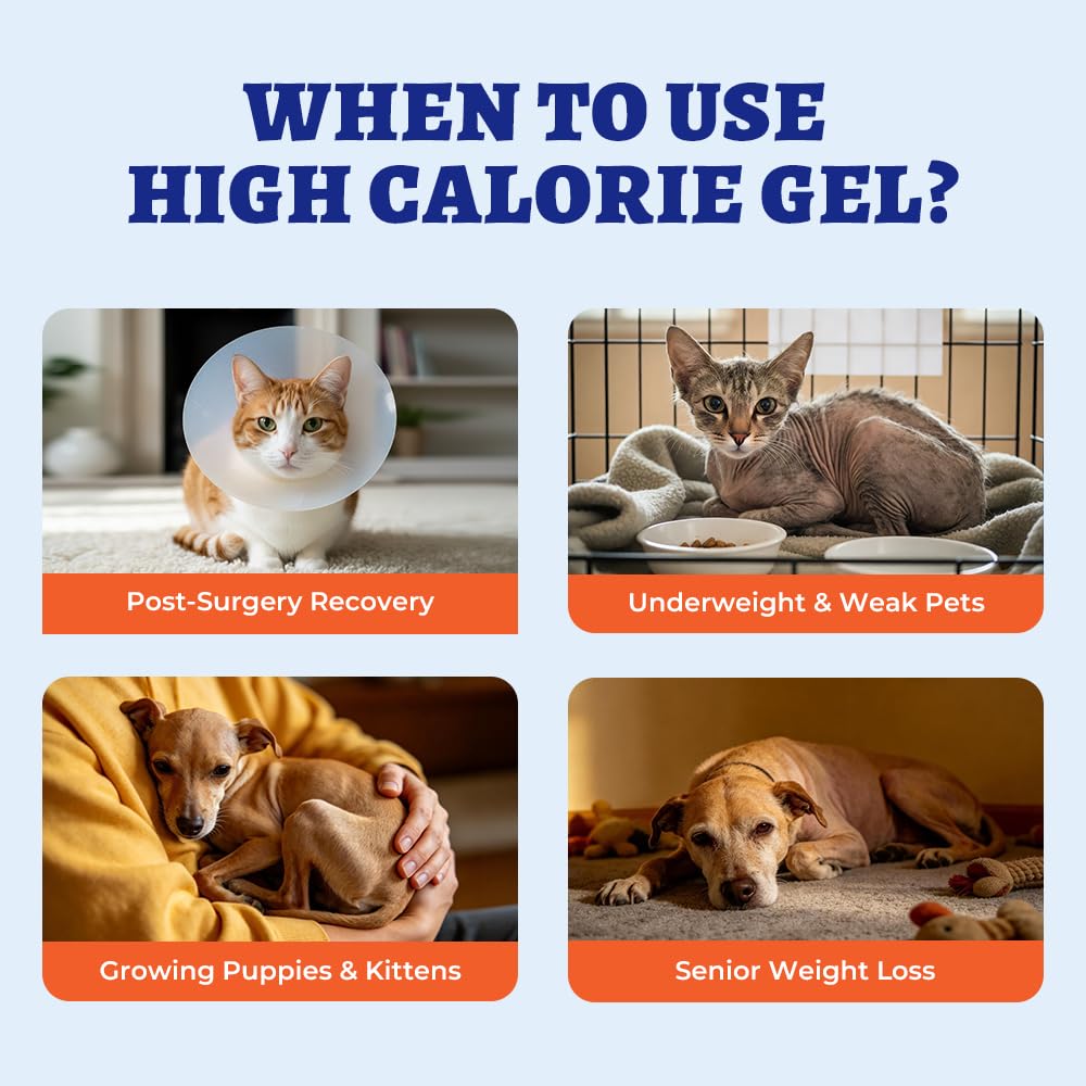 Wellix Gout poulet appétissant ravit les chiens et chats et stimule l'appétit.