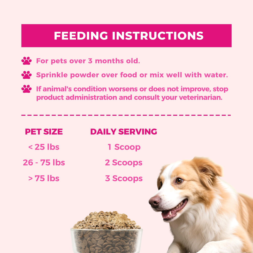Wellix goût poulet apprécié par chiens et chats
