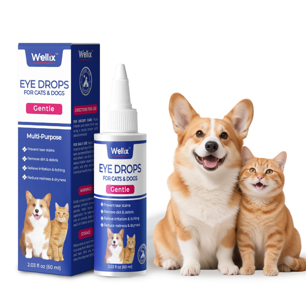Wellix gouttes yeux pour chiens et chats, bouteille prête pour le nettoyage quotidien.