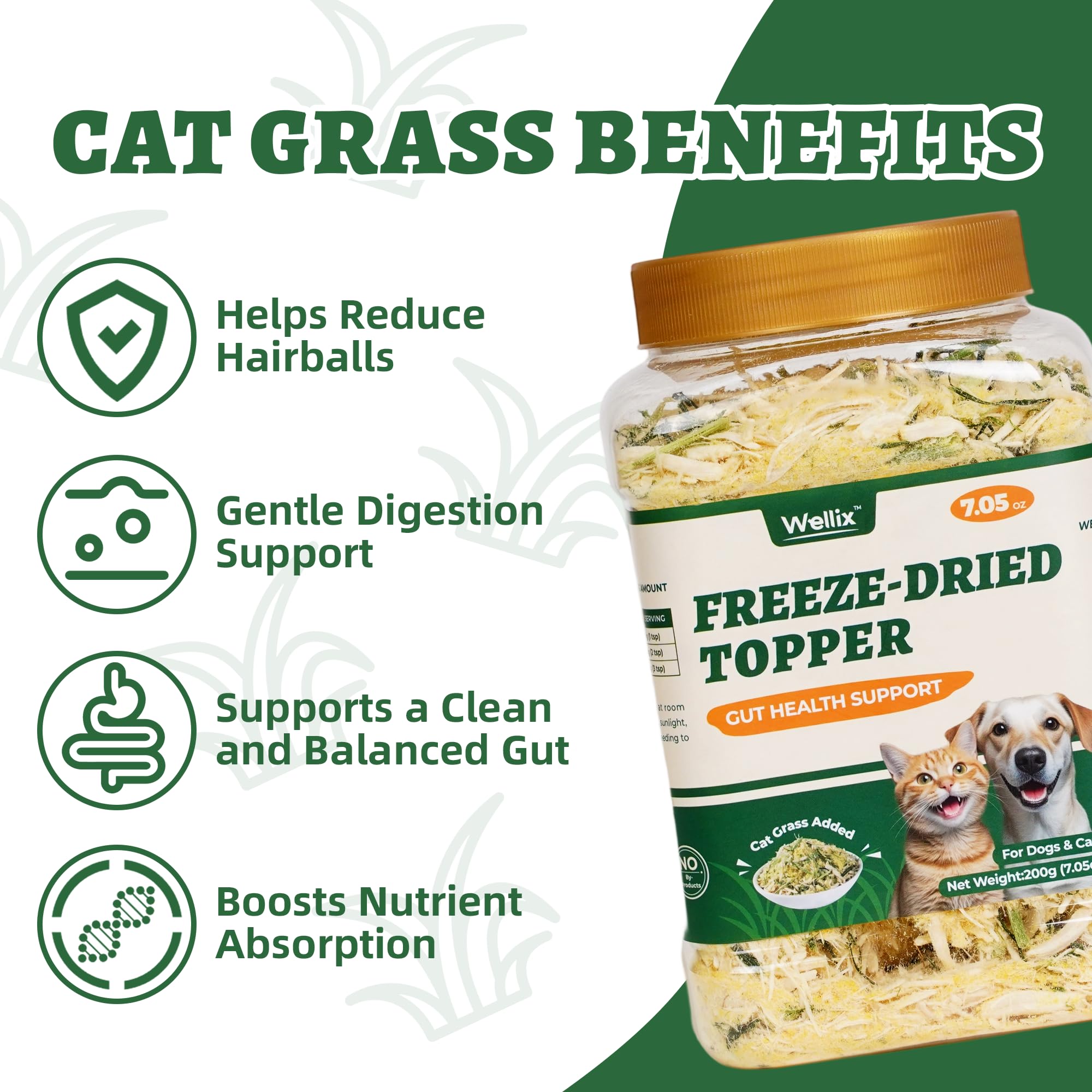 Herbe naturelle pour chats Wellix, texture croquante et saveur naturelle.