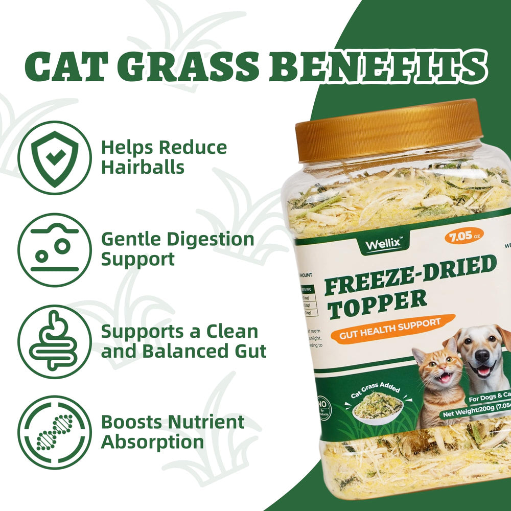 Herbe naturelle pour chats Wellix, texture croquante et saveur naturelle.
