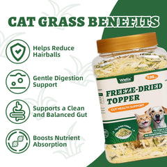 Herbe naturelle pour chats Wellix, texture croquante et saveur naturelle.