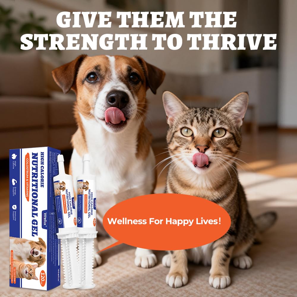 Wellix ideale-pour-chiens-chats-seniors aide potentielle au maintien de la vitalité.