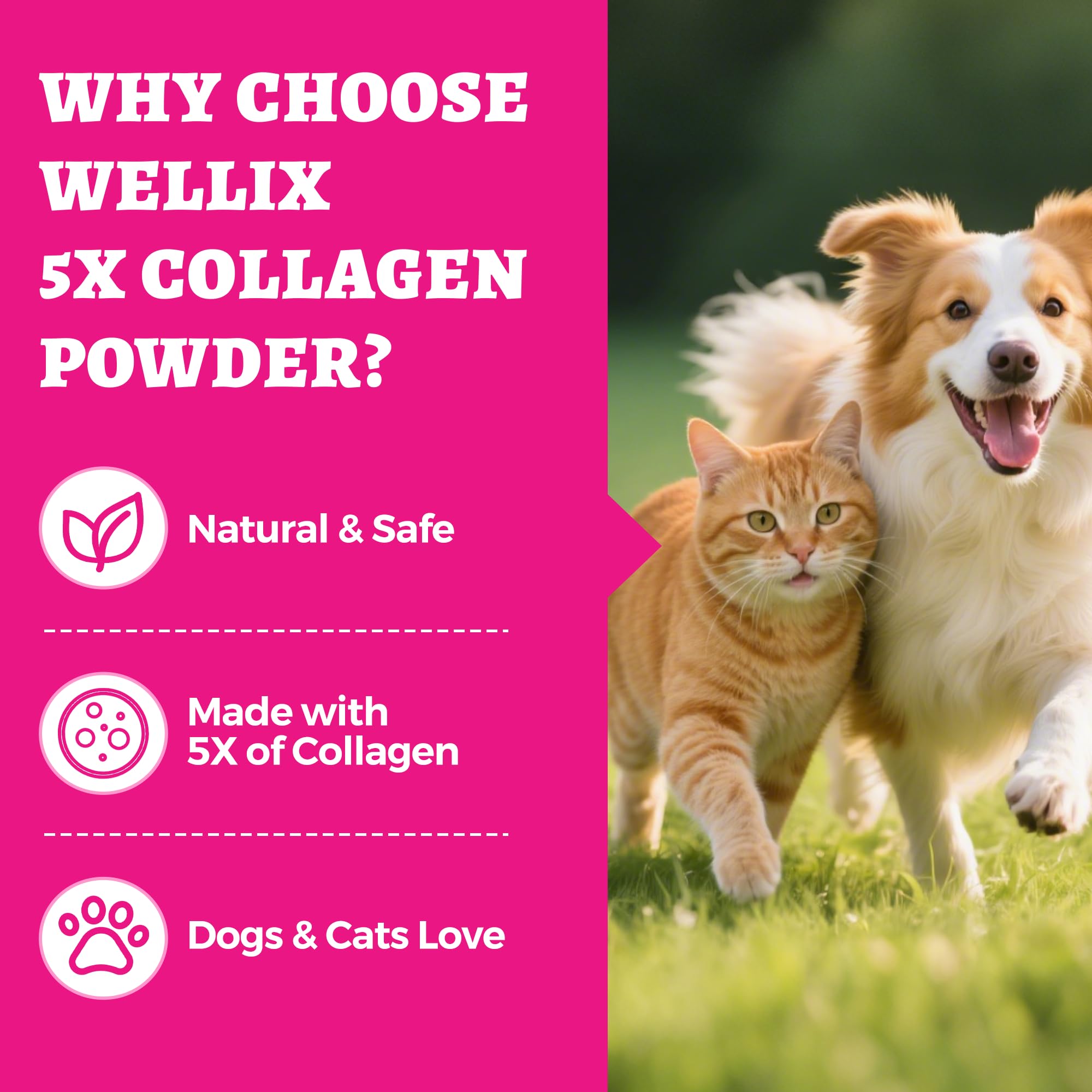 Wellix collagène naturel – ingrédients sûrs et sans additifs