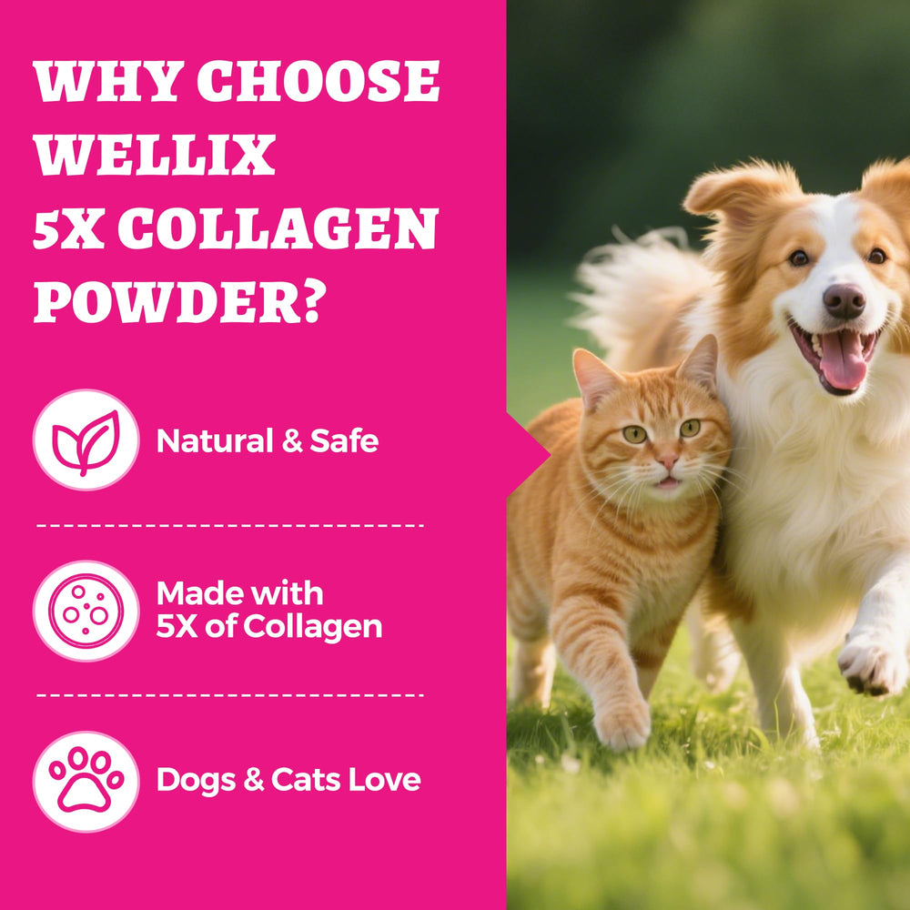 Wellix collagène naturel – ingrédients sûrs et sans additifs
