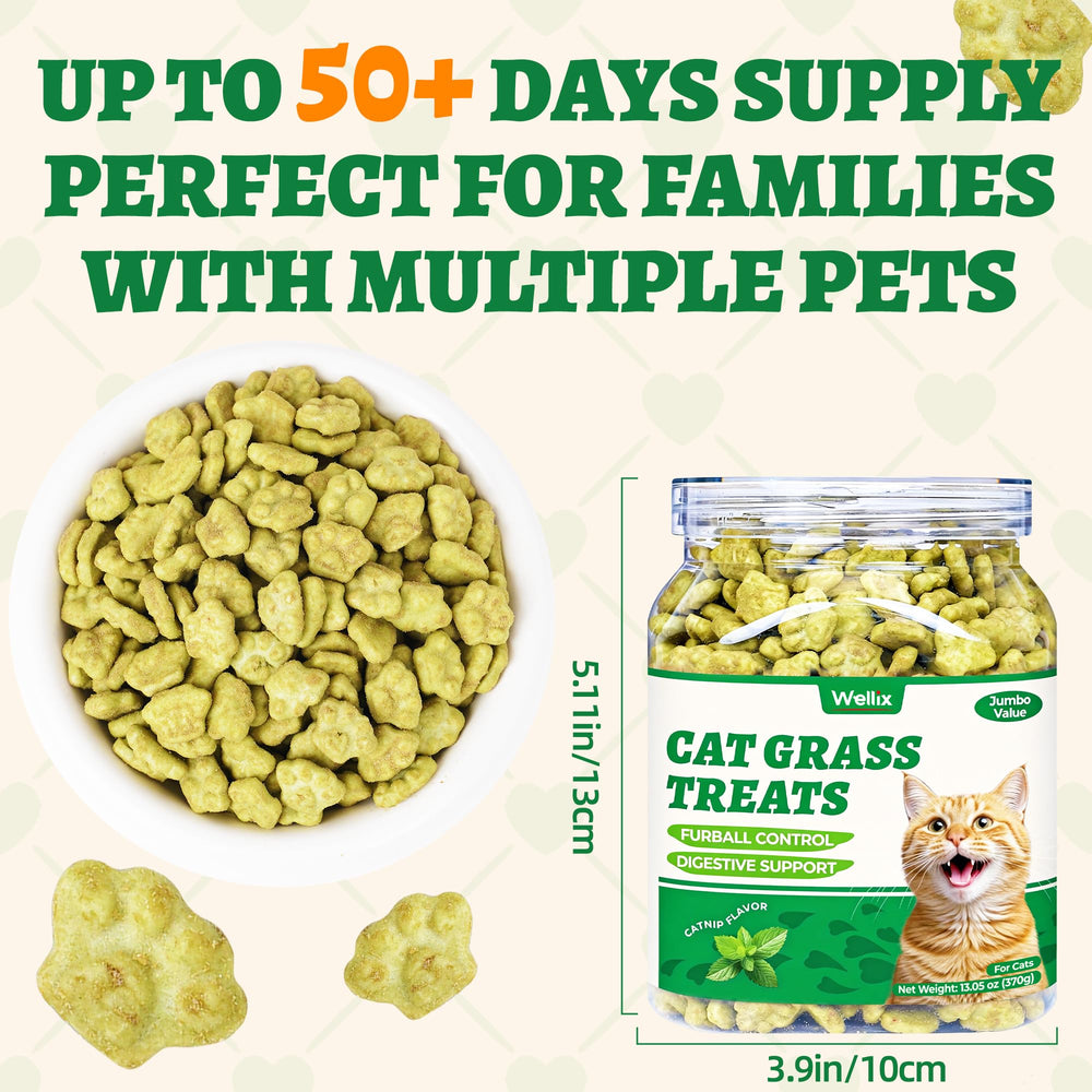 Wellix ingrédients naturels saumon catnip herbe-chat