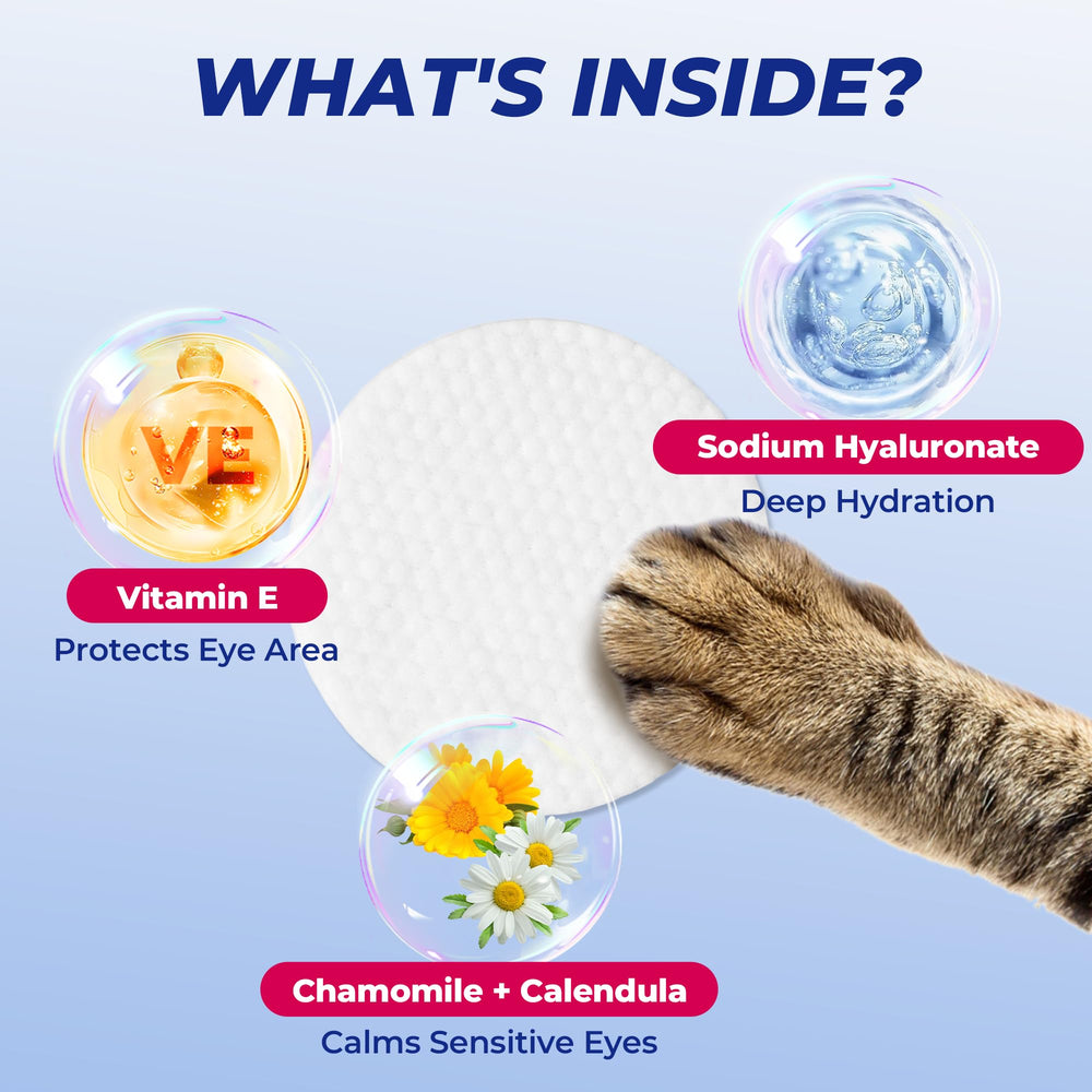 Wellix Lingettes Yeux – grand format facile à utiliser au quotidien
