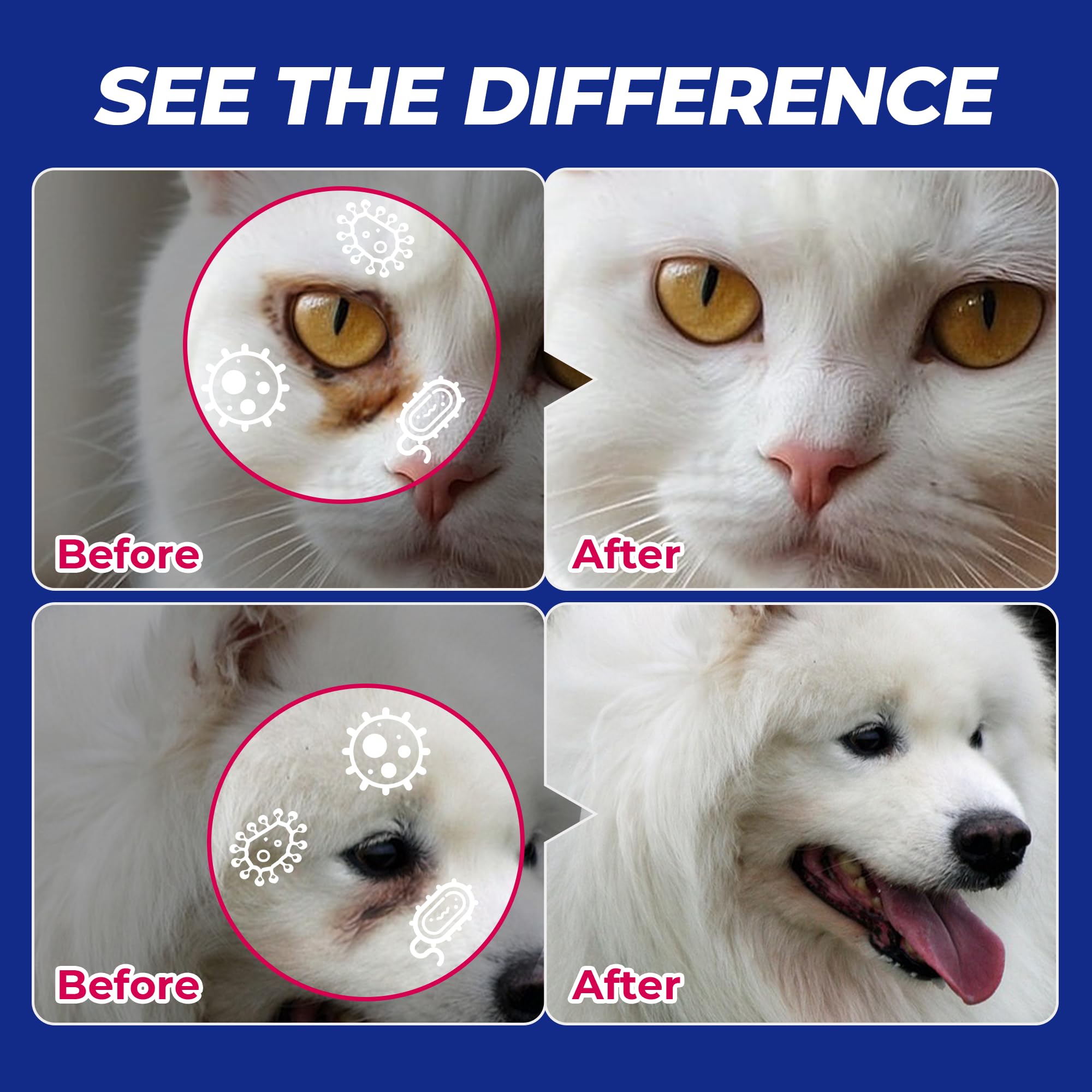 Wellix Lingettes Yeux – sécurité et confiance pour chiens et chats