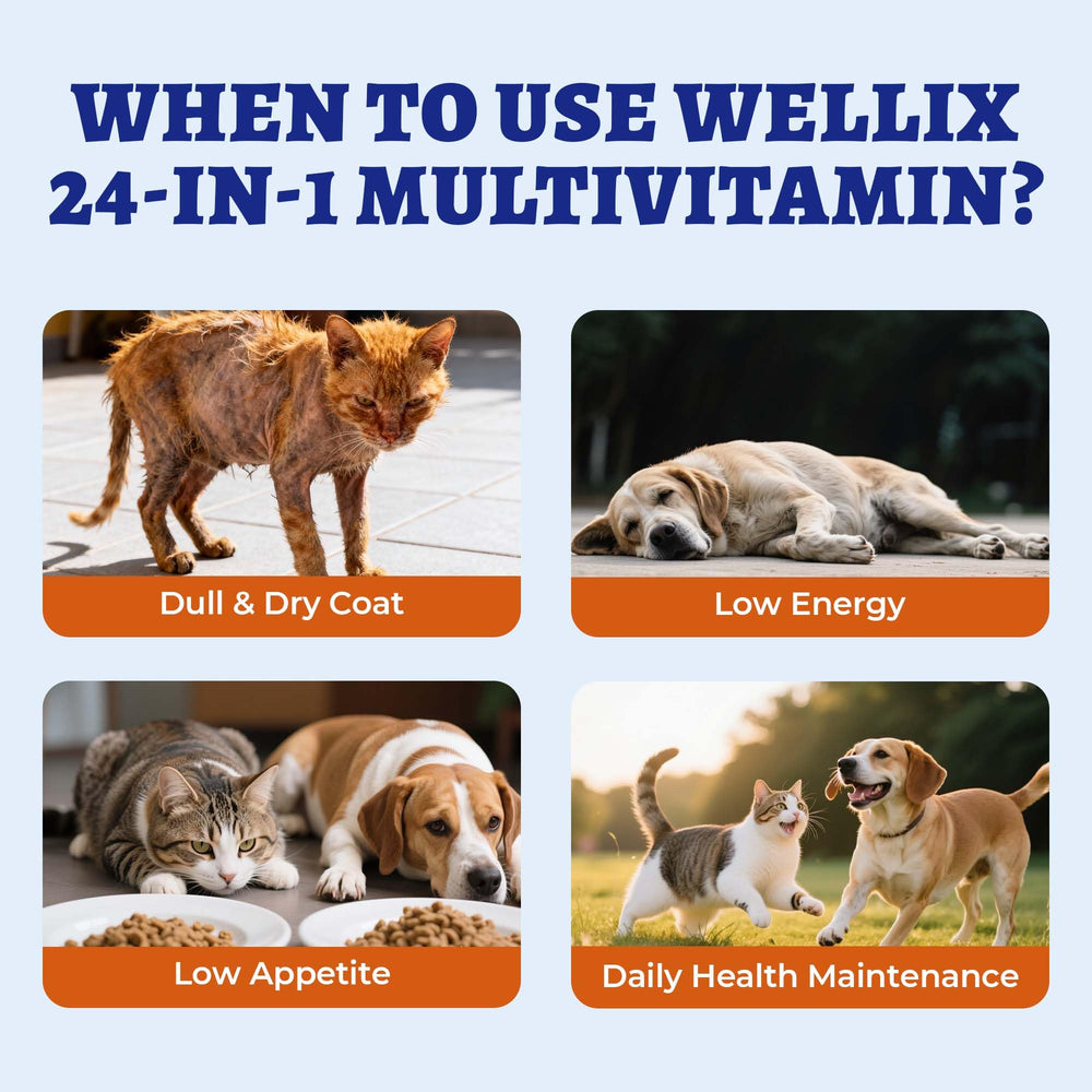 Wellix peau et poils brillants grâce à des nutriments essentiels.