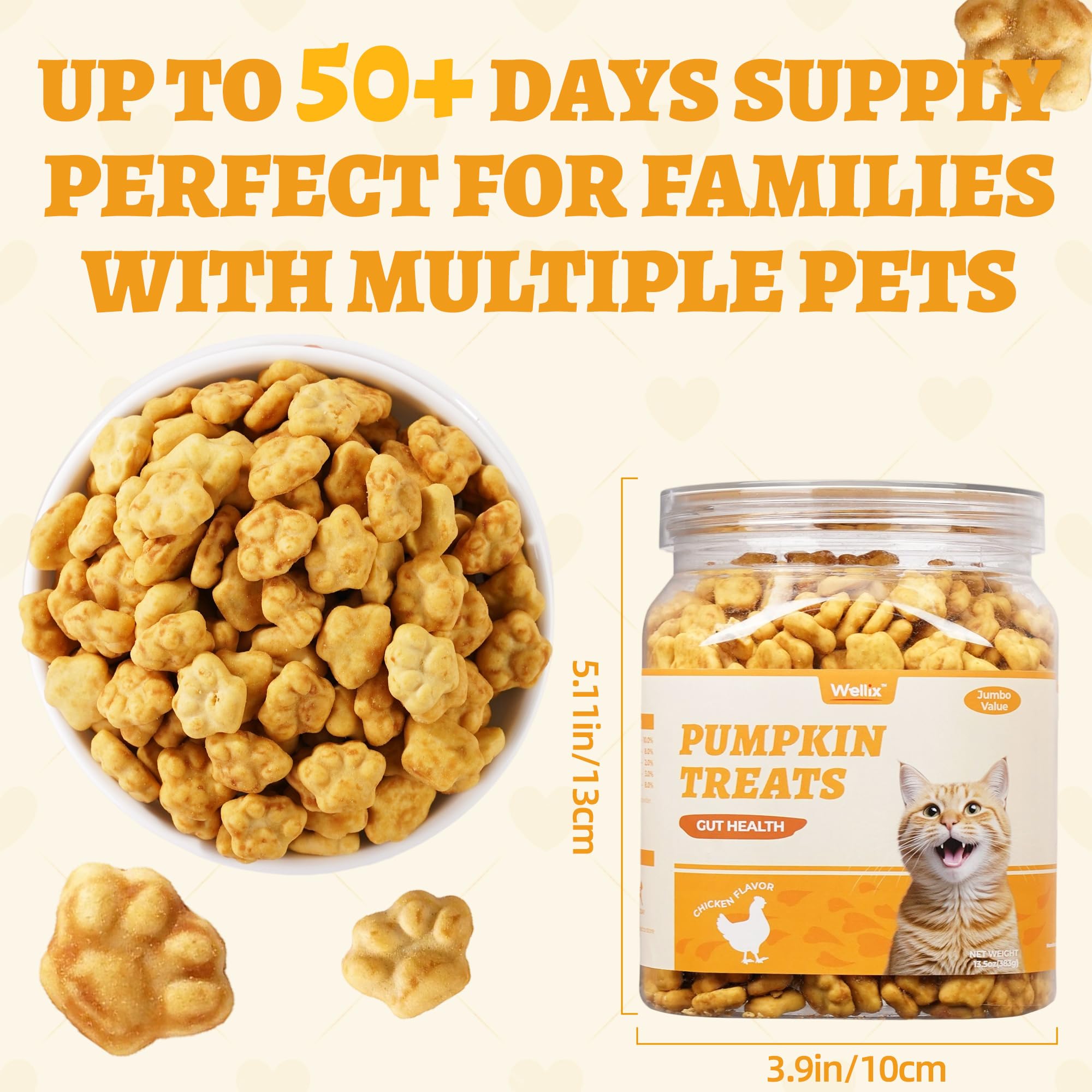 Gros pot Wellix potiron poulet pour plusieurs chats.