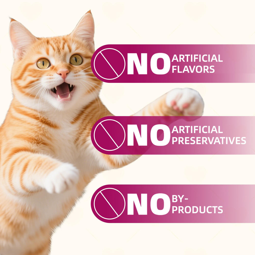 Friandises Wellix pour chien – récompense quotidienne.