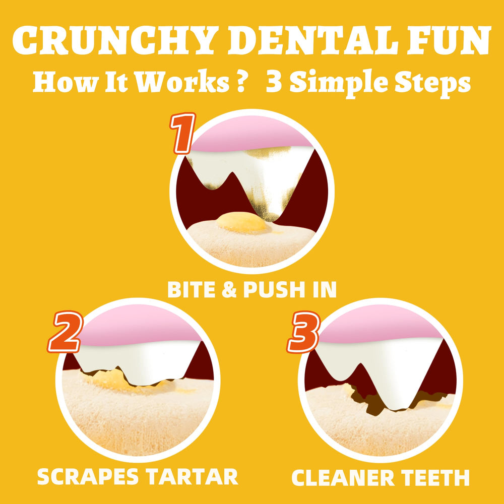 Bienfaits dentaires potentiels: contribue au nettoyage des dents lors de la mastication