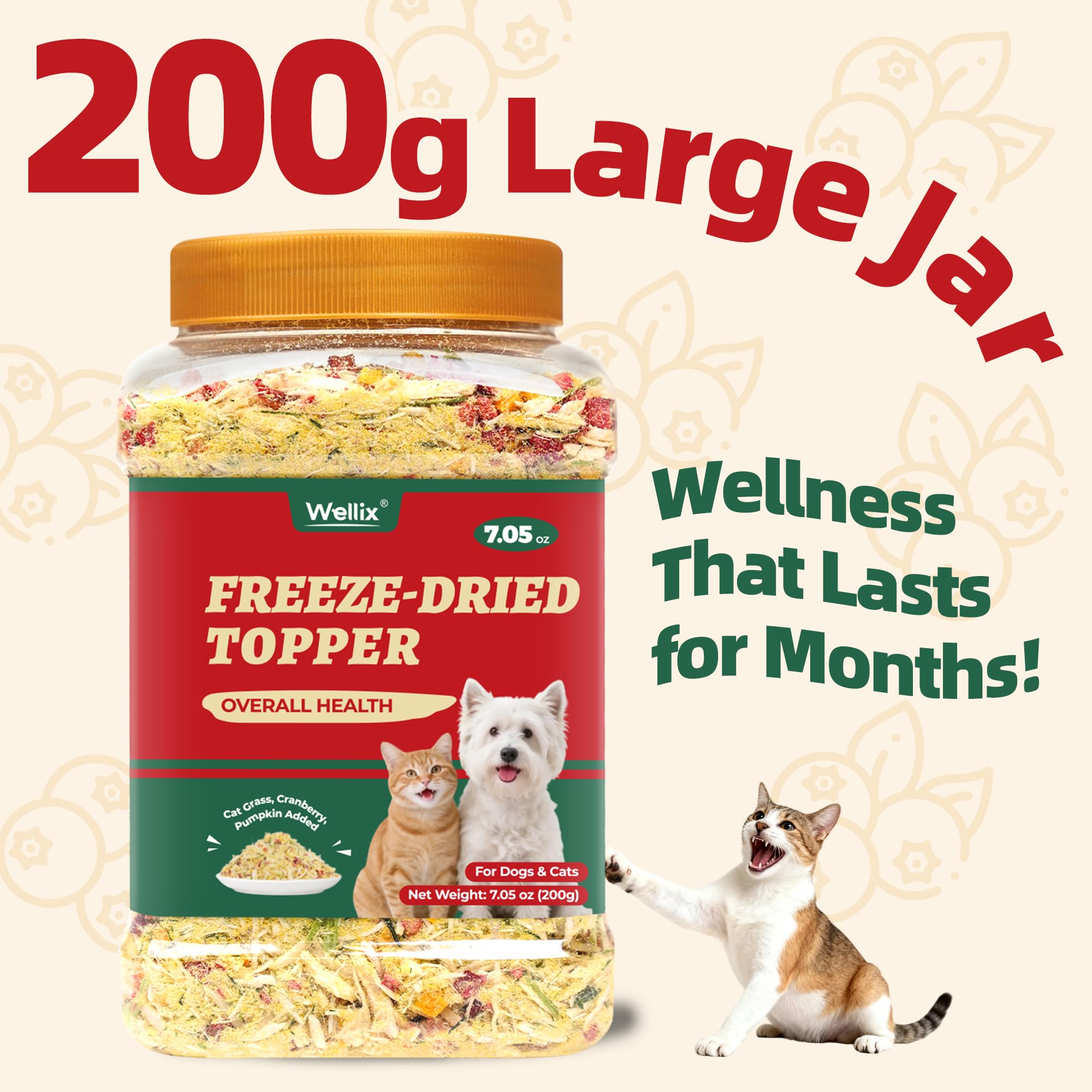 Wellix avec herbe à chat visible, solution gourmande pour petites envies.