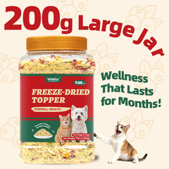 Wellix avec herbe à chat visible, solution gourmande pour petites envies.