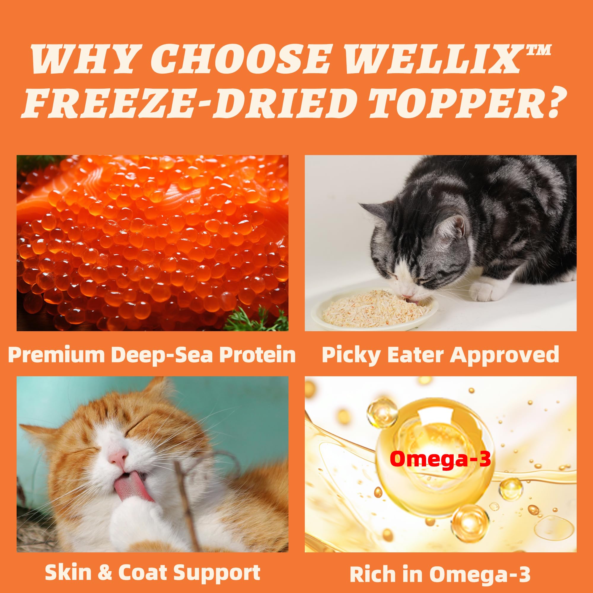 Wellix Topper saveur poulet, morceaux friables pour varier les repas.