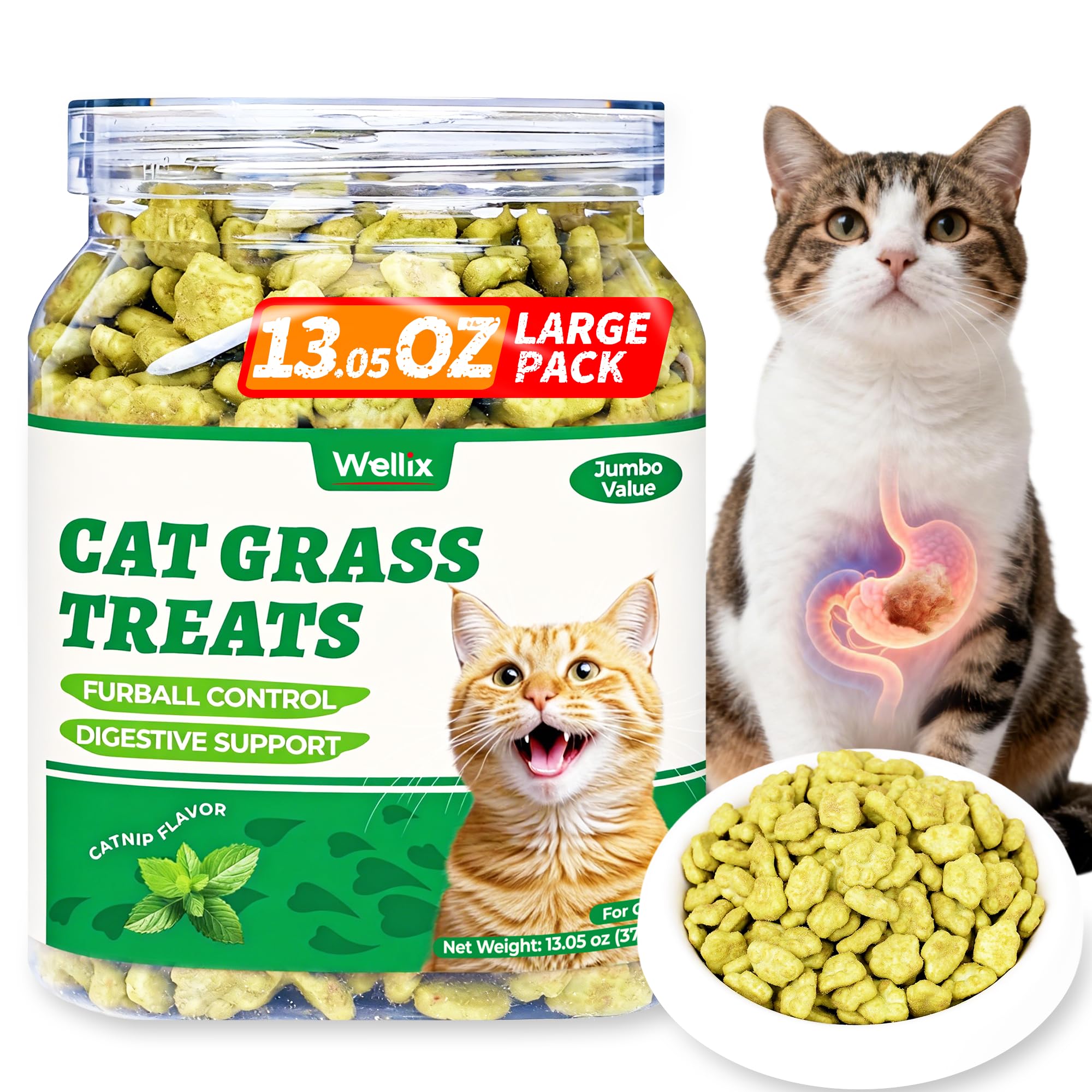 Wellix biscuits herbe à chat au saumon, emballage en boîte hermétique