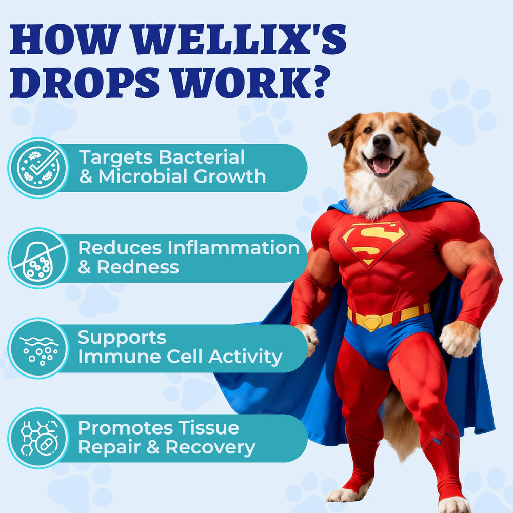 Wellix pour chats et chiens de tout âge et de toutes races.