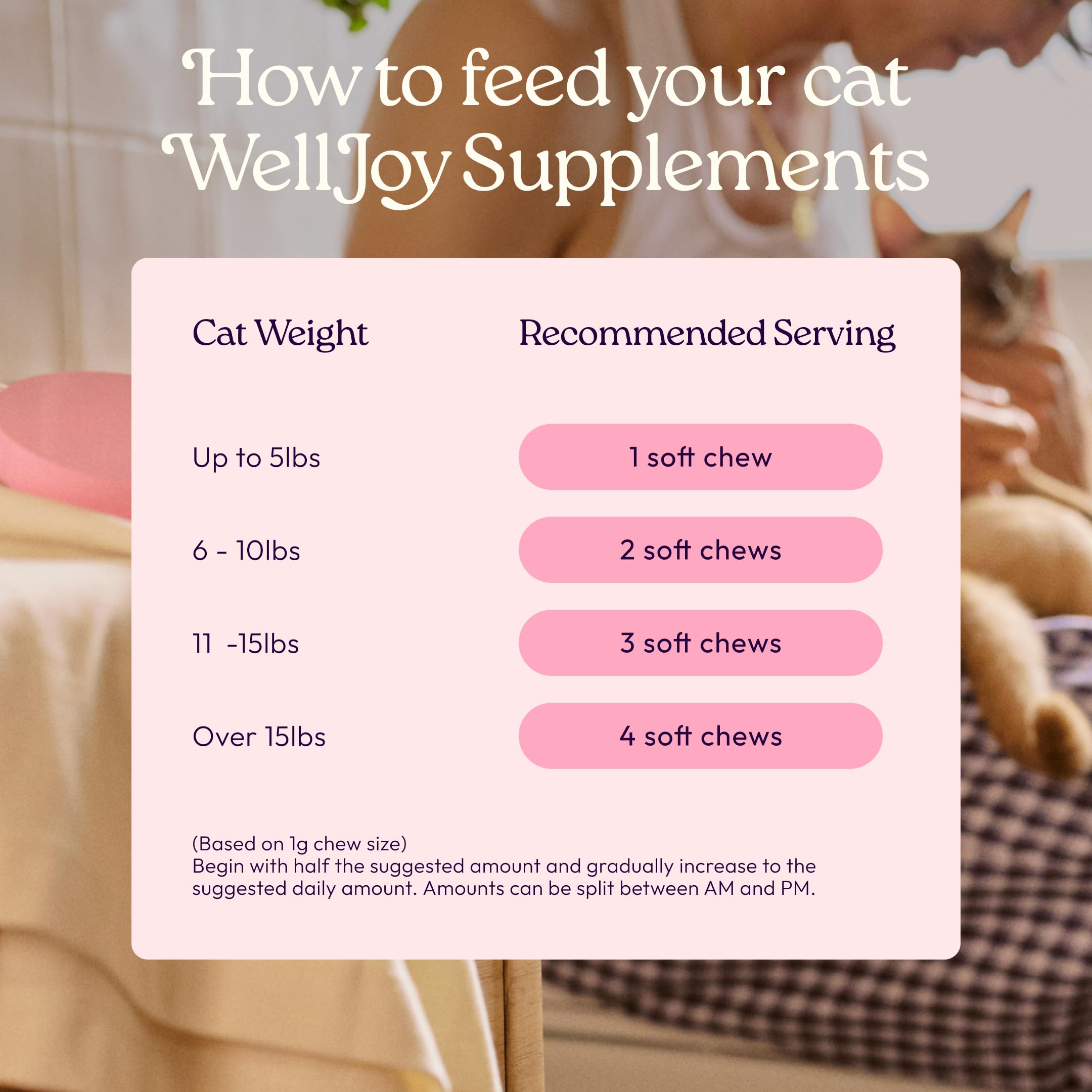90 friandises molles WellJoy – pratique pour l’alimentation quotidienne.