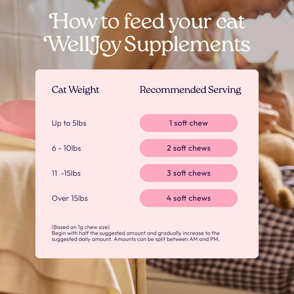 90 friandises molles WellJoy – pratique pour l’alimentation quotidienne.