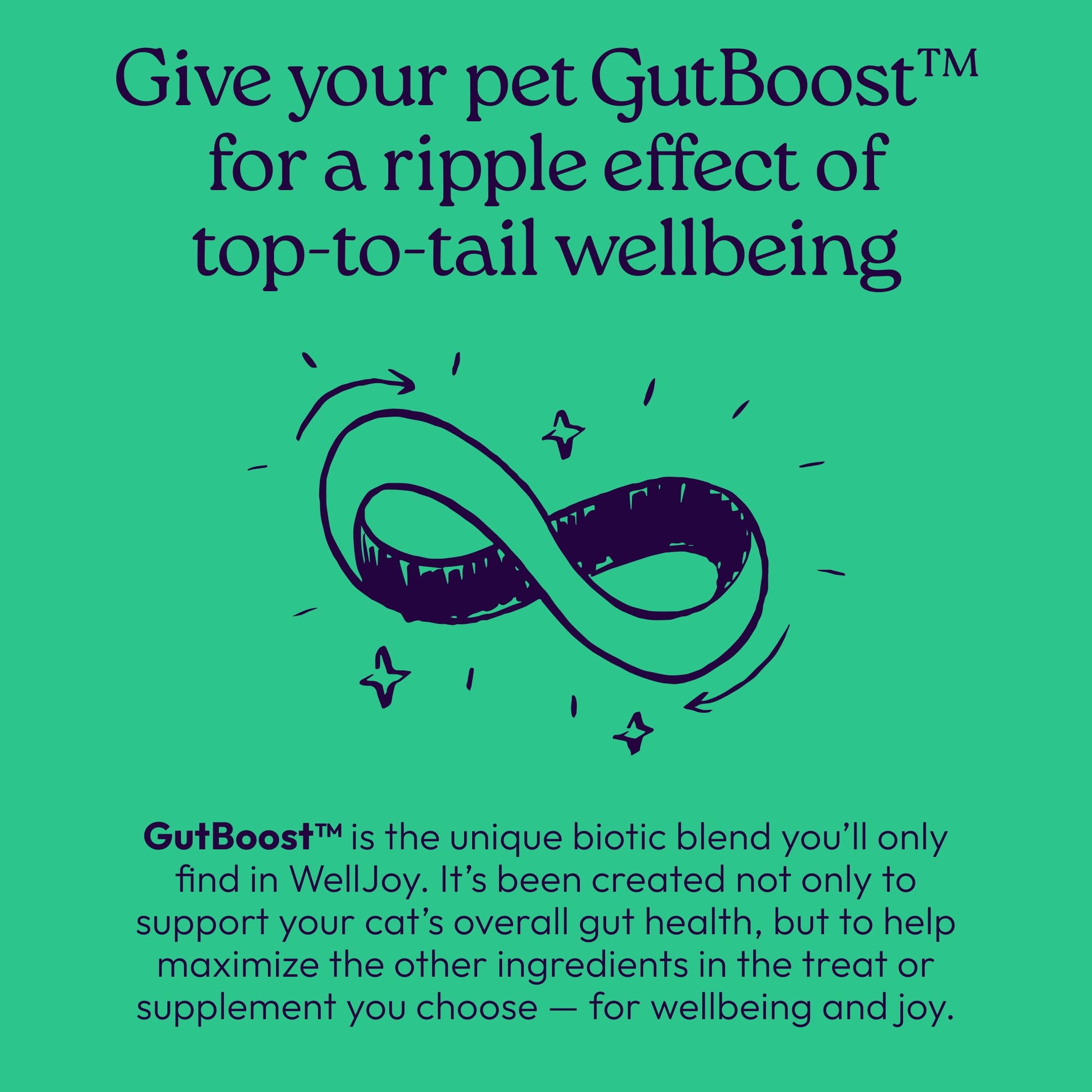 WellJoy chat-emballage-securise : sachet refermable pour une conservation pratique.