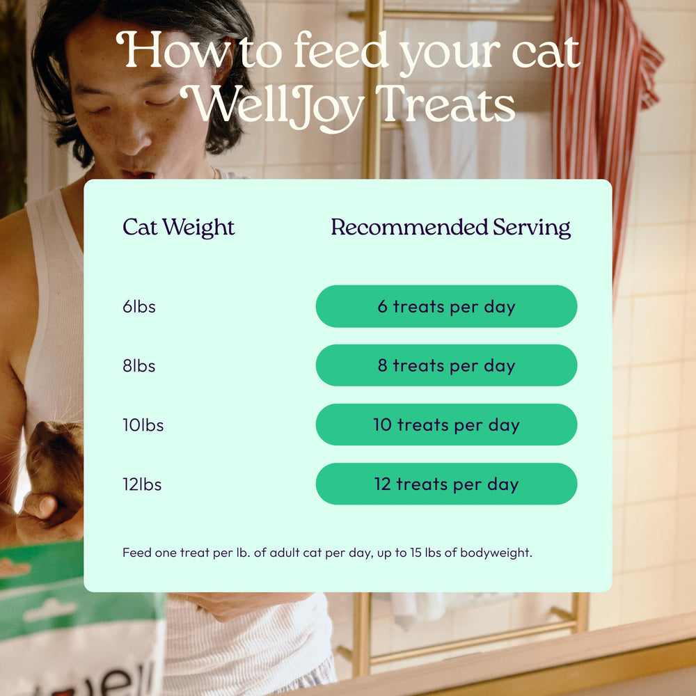WellJoy chat-fabrique-usa-vermont : fabriqué aux États‑Unis, standards de qualité.