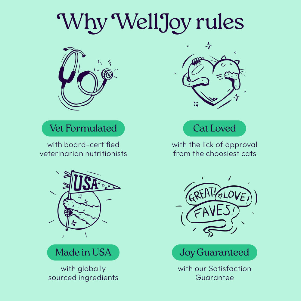 WellJoy chat-formulation-veterinaire : formulation approuvée par des vétérinaires pour chats.