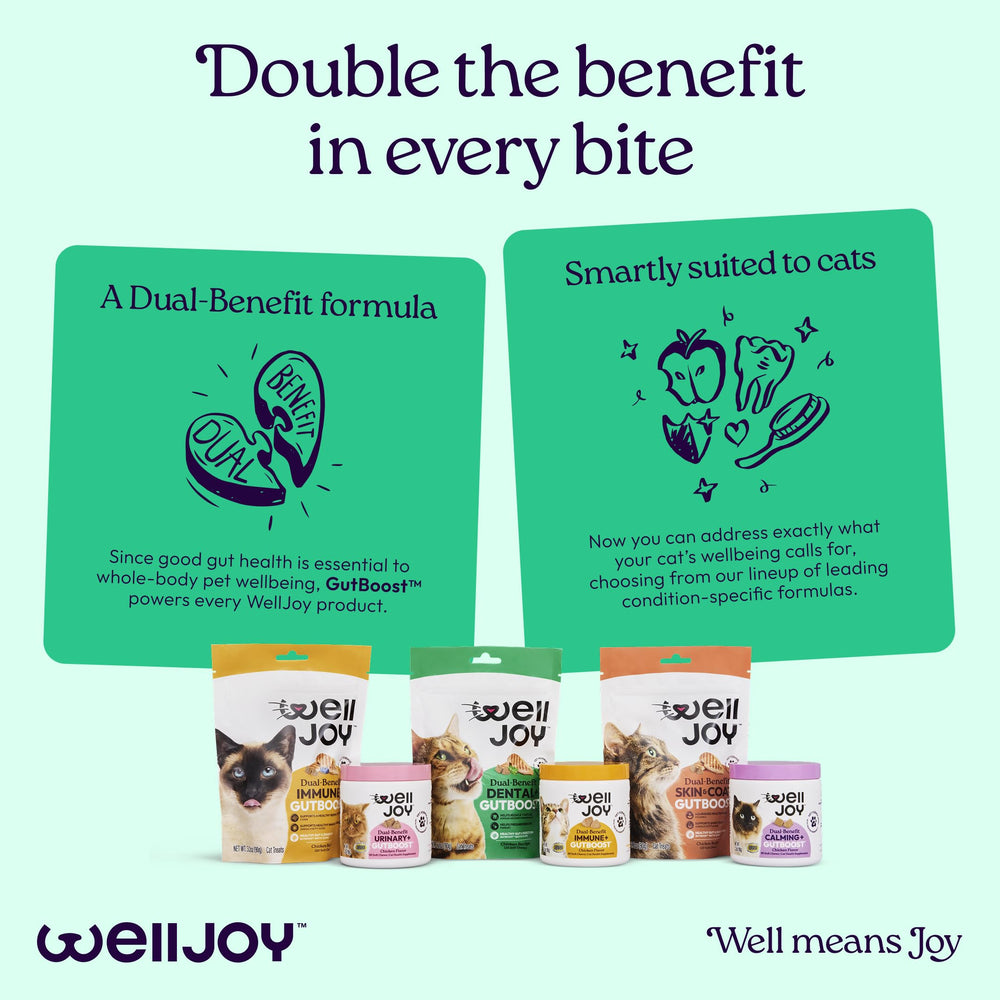 WellJoy chat-sante-chat-joyeuse : soutient le bien-être global et la joie des friandises.