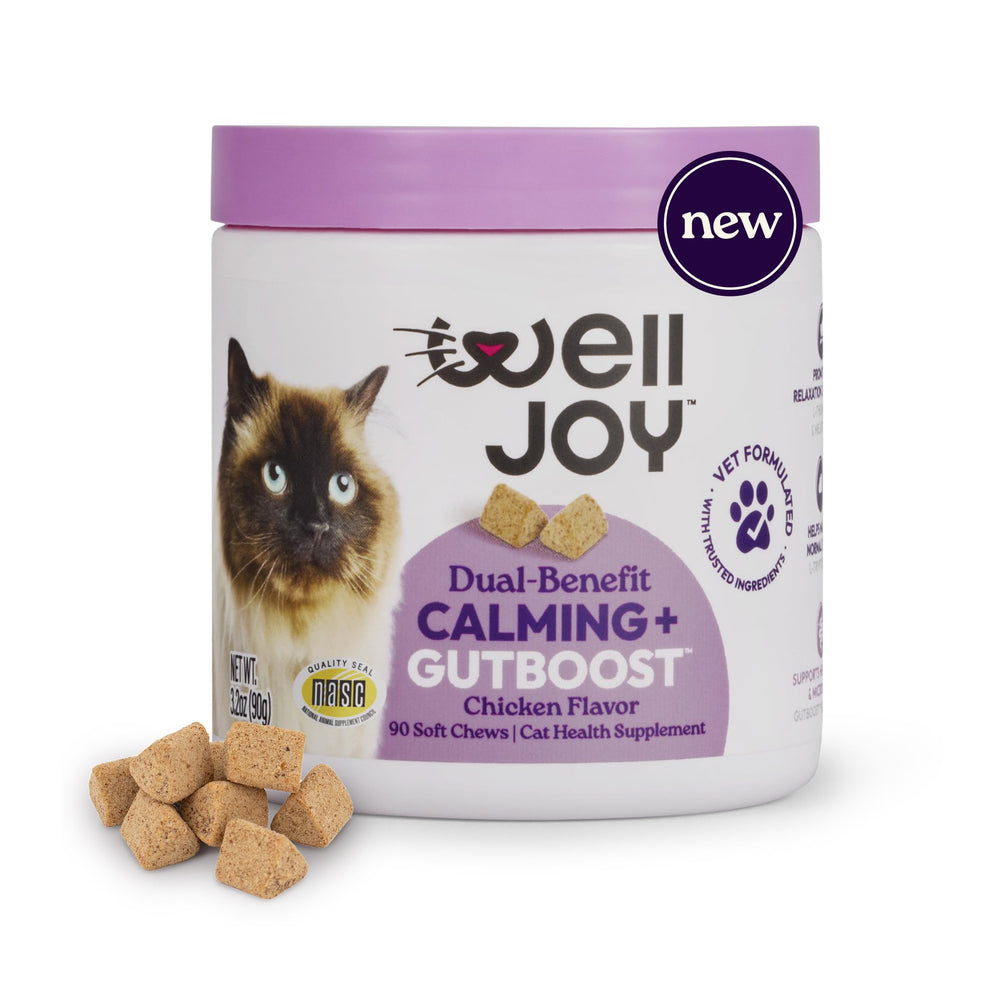 WellJoy chat apaisant : bouteille prête à verser, pour soutenir la détente quotidienne.