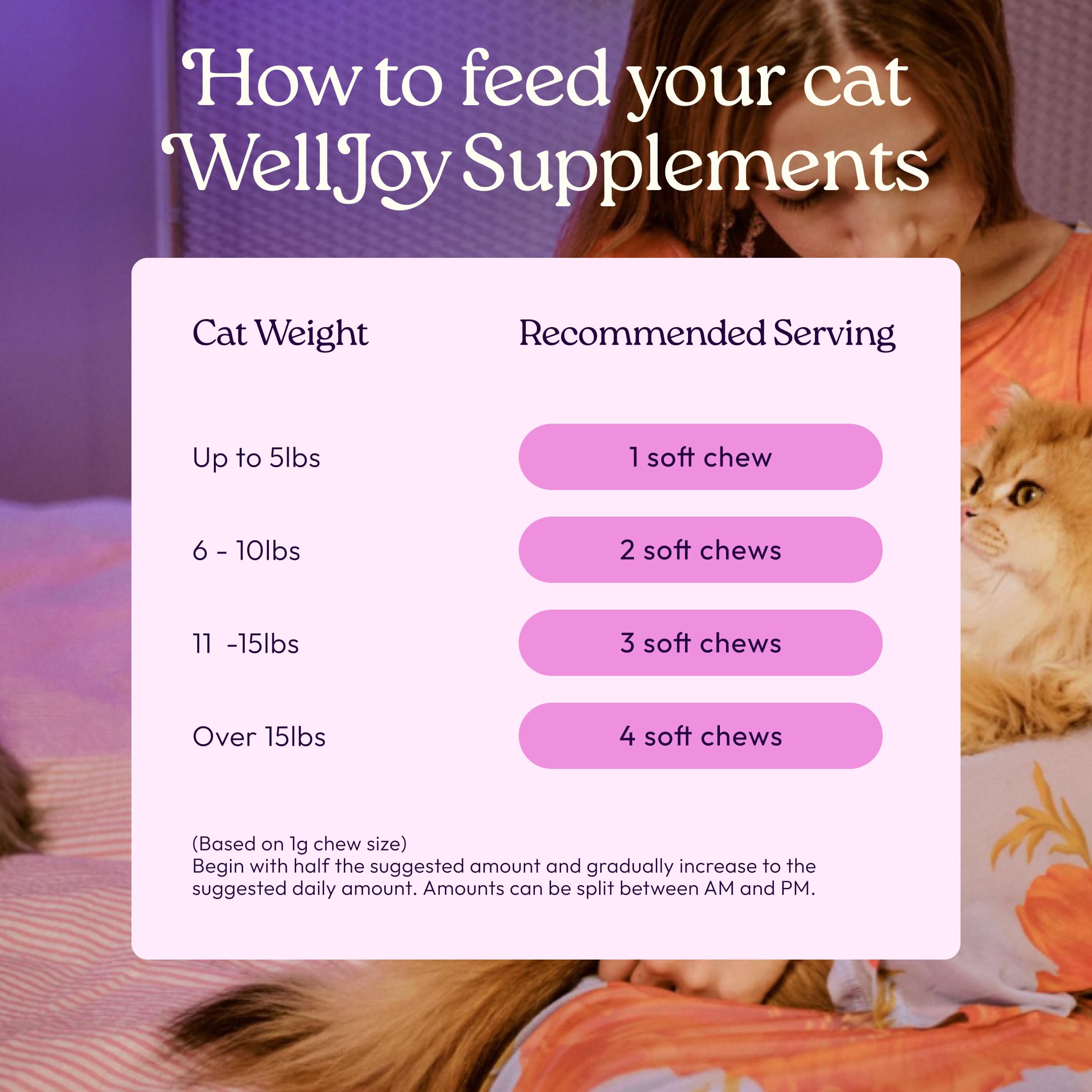 WellJoy Fabriqué aux États‑Unis : production locale et qualité.