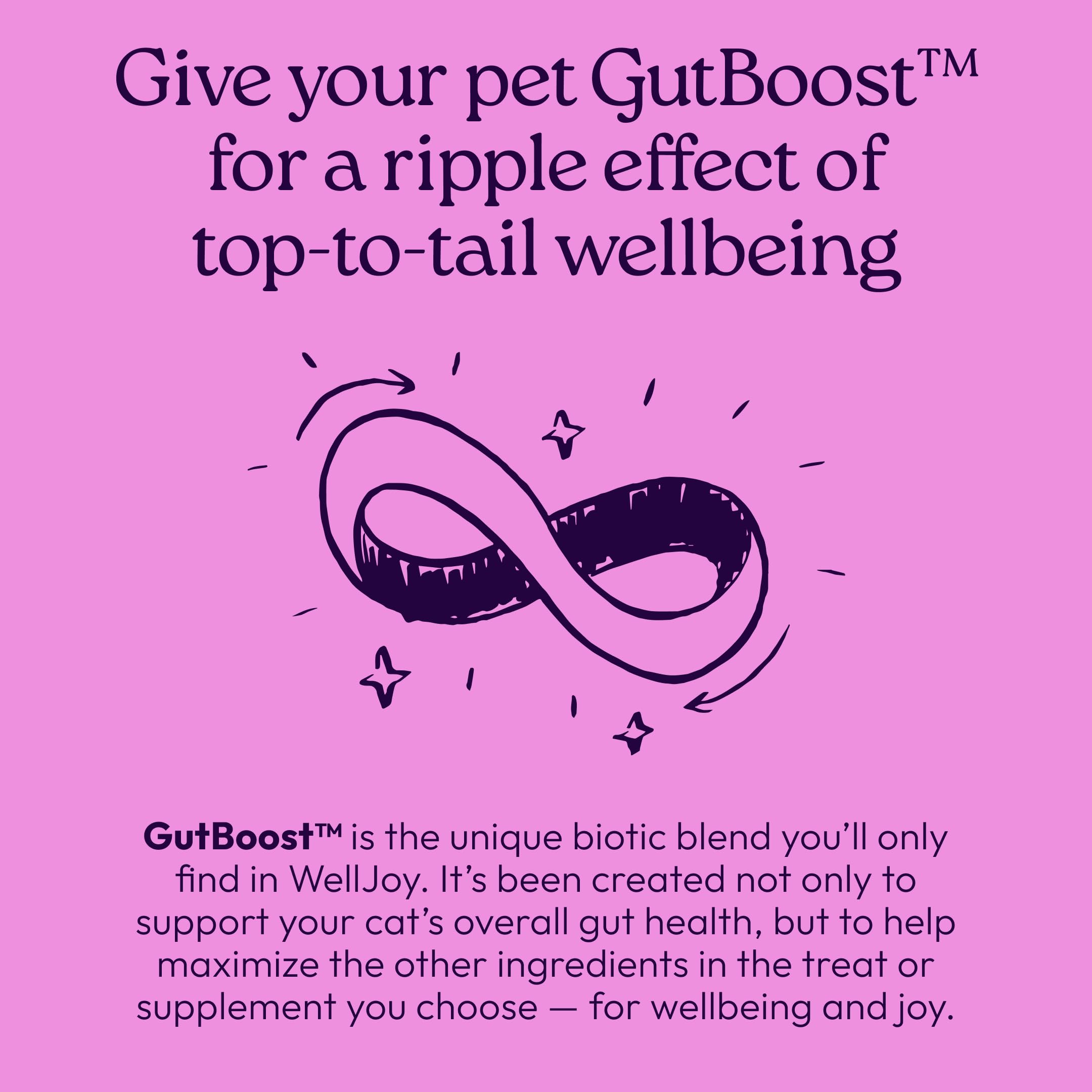 WellJoy Saveur poulet : goût apprécié par les chats les plus exigeants.