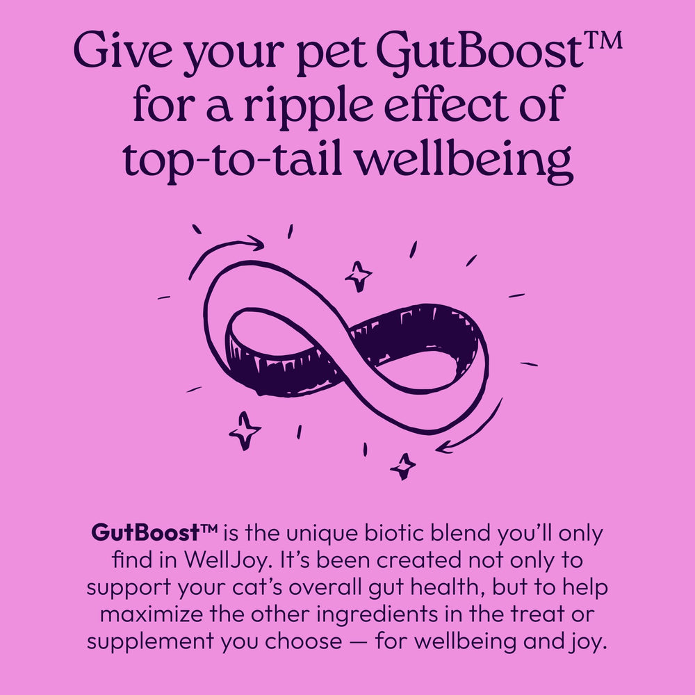 WellJoy Saveur poulet : goût apprécié par les chats les plus exigeants.