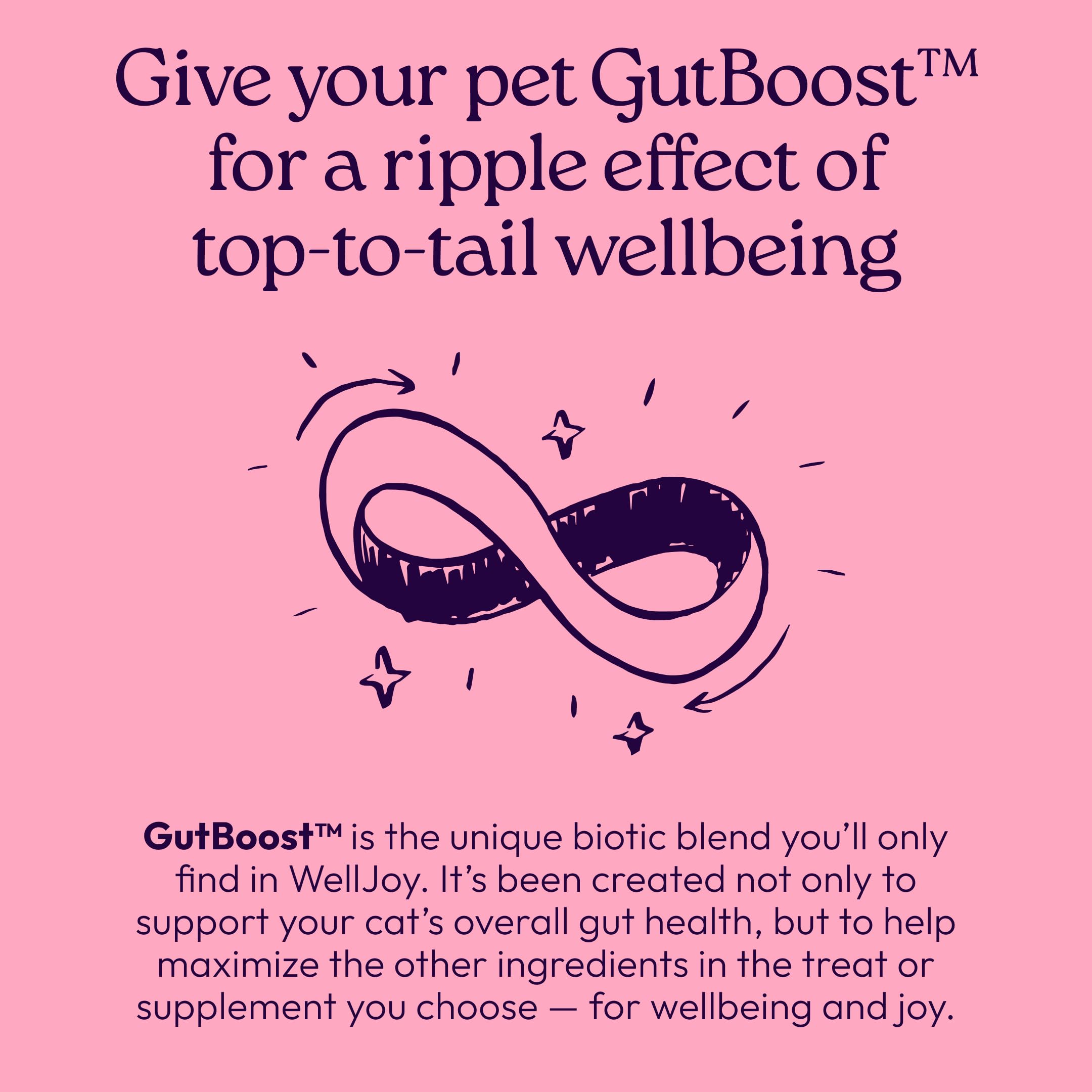 Formulation vétérinaire WellJoy – confiance nutritionnelle pour chats sensibles.