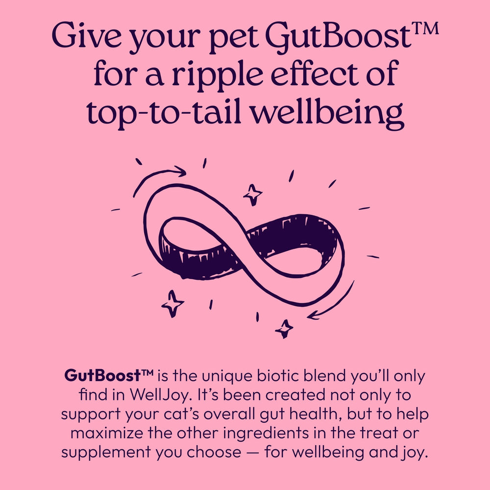 Formulation vétérinaire WellJoy – confiance nutritionnelle pour chats sensibles.