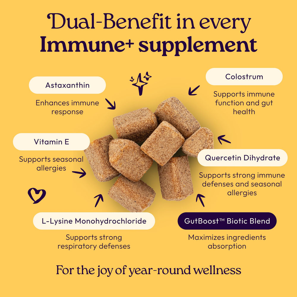 Chat WellJoy Immune+ mange les friandises, appétit soutenu.